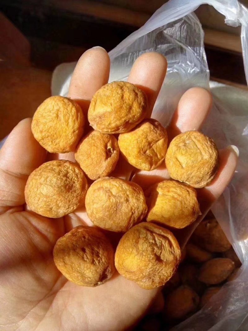吊干杏。杏干