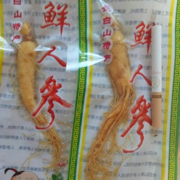 保鲜人参