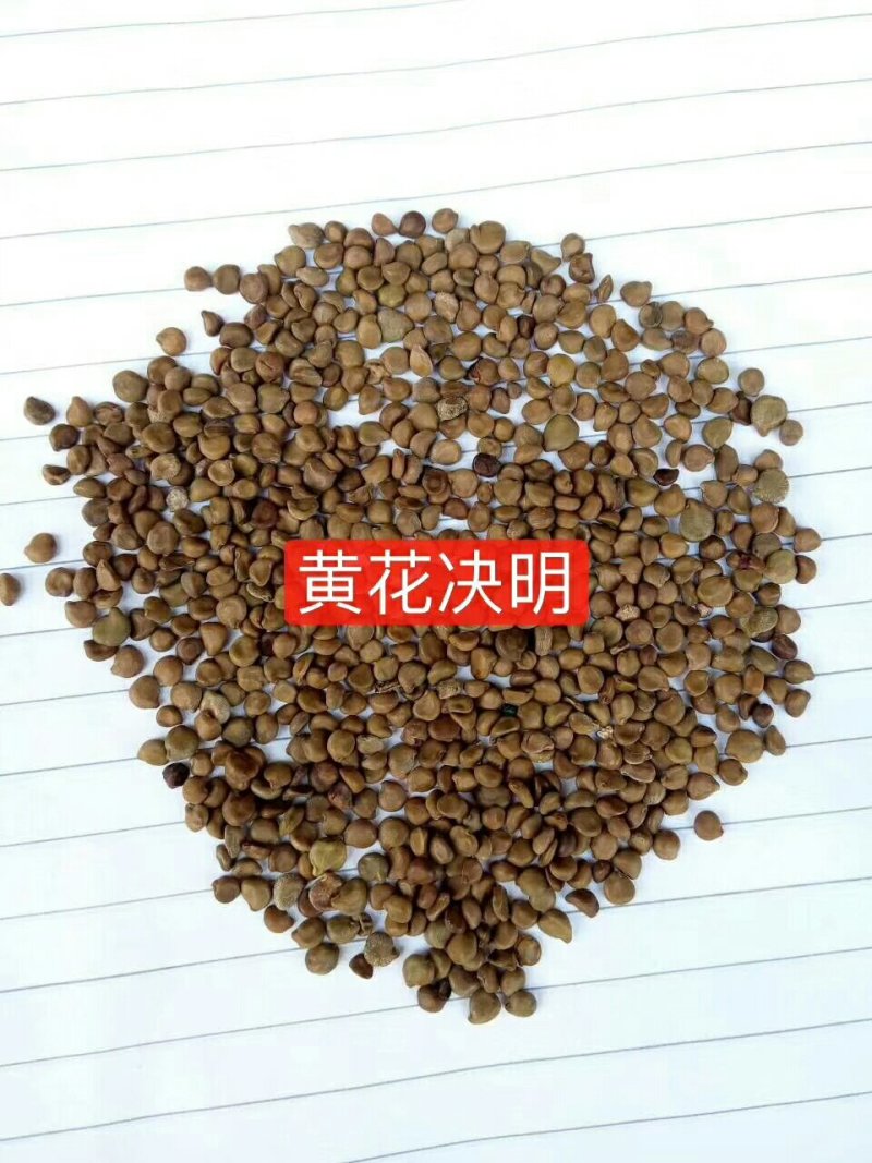 公路边草花组合种子价格