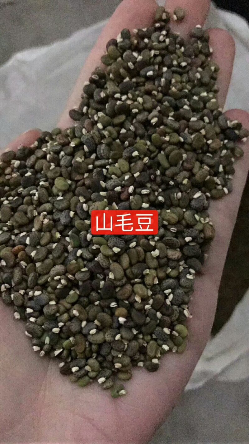 公路边草花组合种子价格