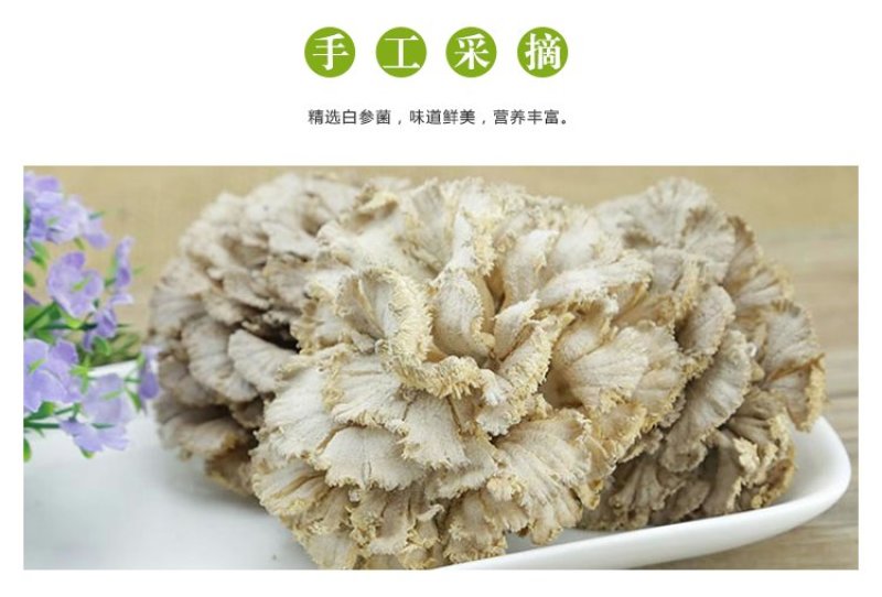 云南特产白参菌雪莲菌鸡毛菌干货灰树花白参菌500克