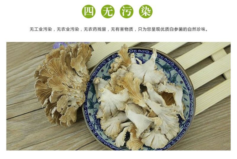 云南特产白参菌雪莲菌鸡毛菌干货灰树花白参菌500克