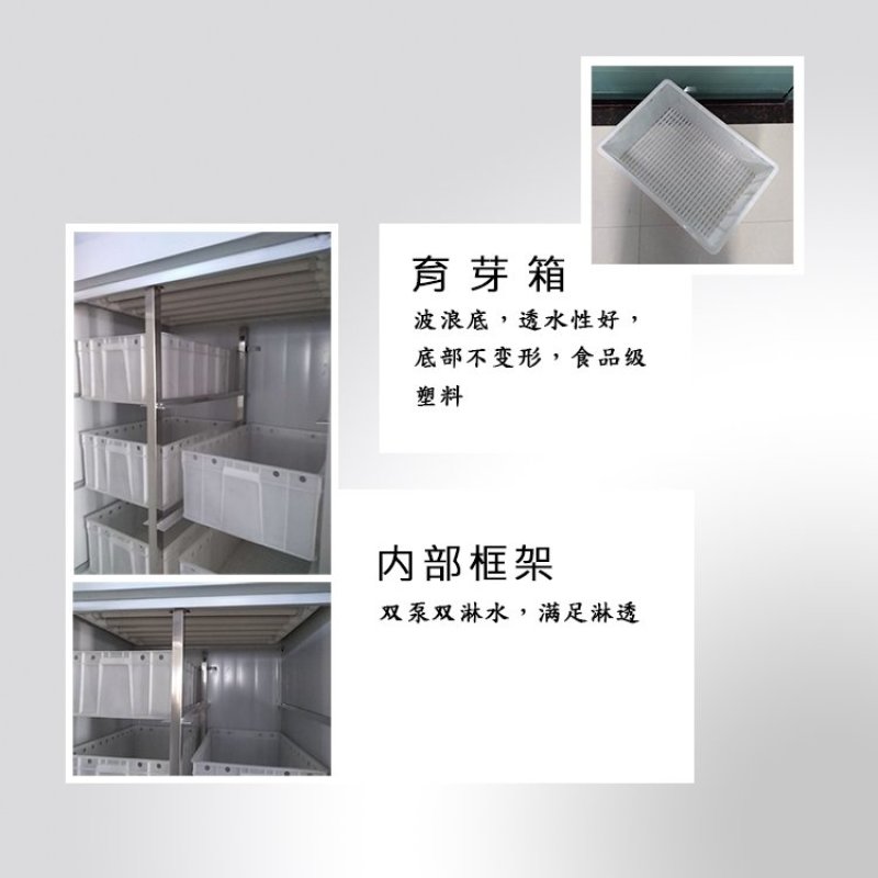 全自动DY_200型豆芽机商用不锈钢芽苗机