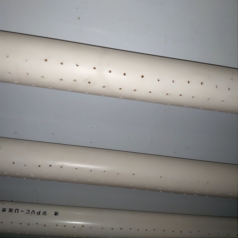 全自动DY_200型豆芽机商用不锈钢芽苗机