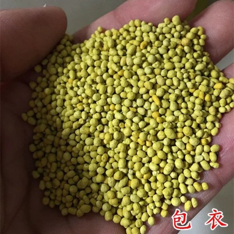 二月兰种子春秋季节播种品种好欢迎选购