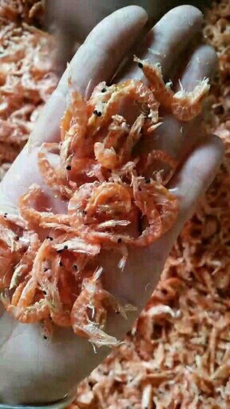 烘干南极鳞虾红虾皮
