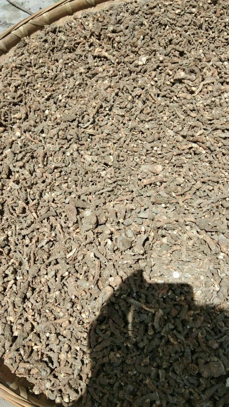 🔥【假一罚十】四川重楼干货✔大量现货✔量大从优