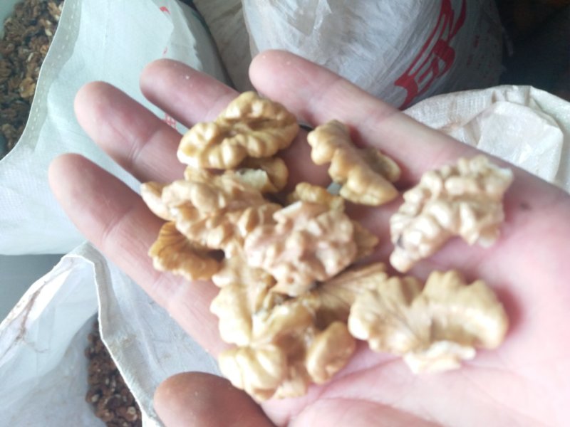 核桃仁