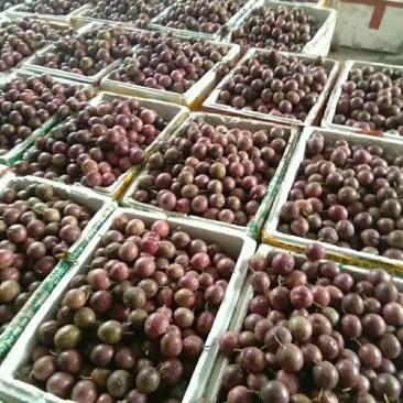 百香果50g-80g