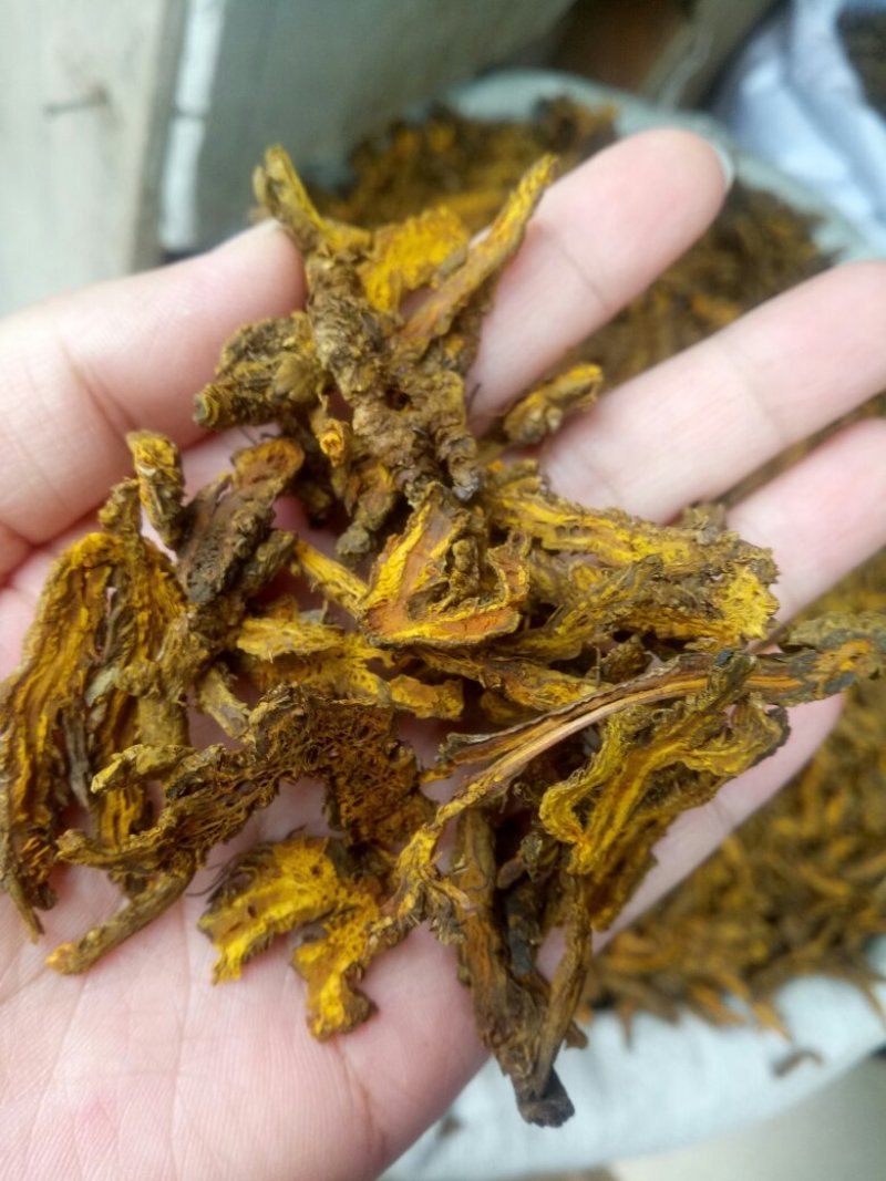 黄连干货切片干净无杂质量大从优