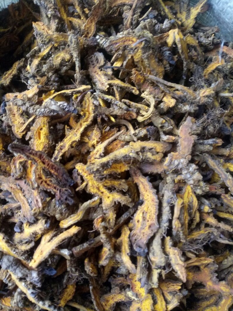 黄连干货切片干净无杂质量大从优