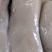 正宗魔芋豆腐