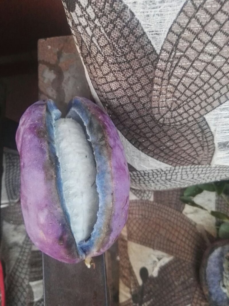 八月瓜