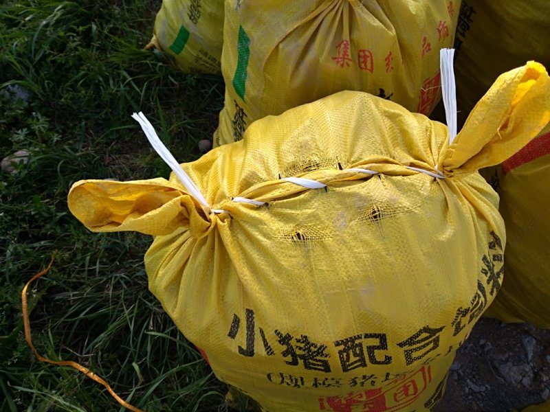 ，红芽芋糯，而又不腻包汤