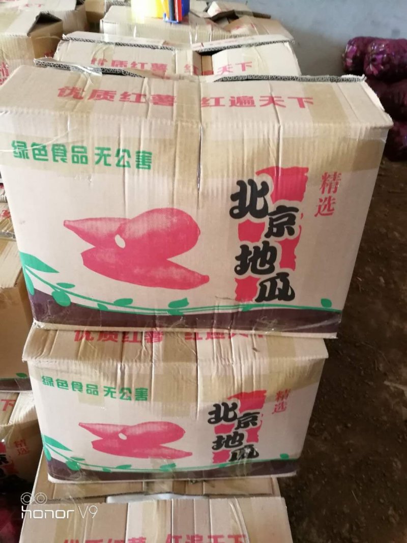 西瓜红通货、商品货。黄土坡的红薯红皮红心