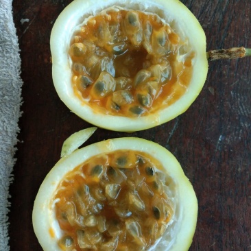 百香果（西番莲），纯生态工艺种植
