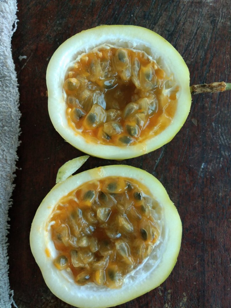 百香果（西番莲），纯生态工艺种植