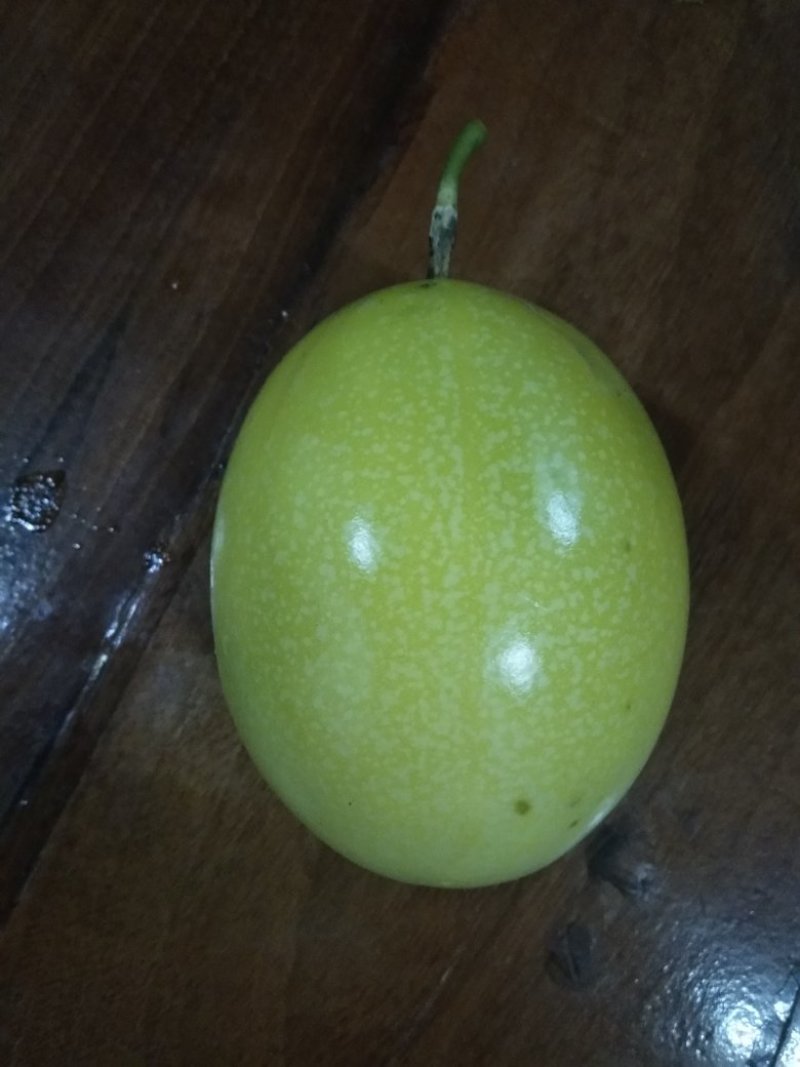 百香果（西番莲），纯生态工艺种植