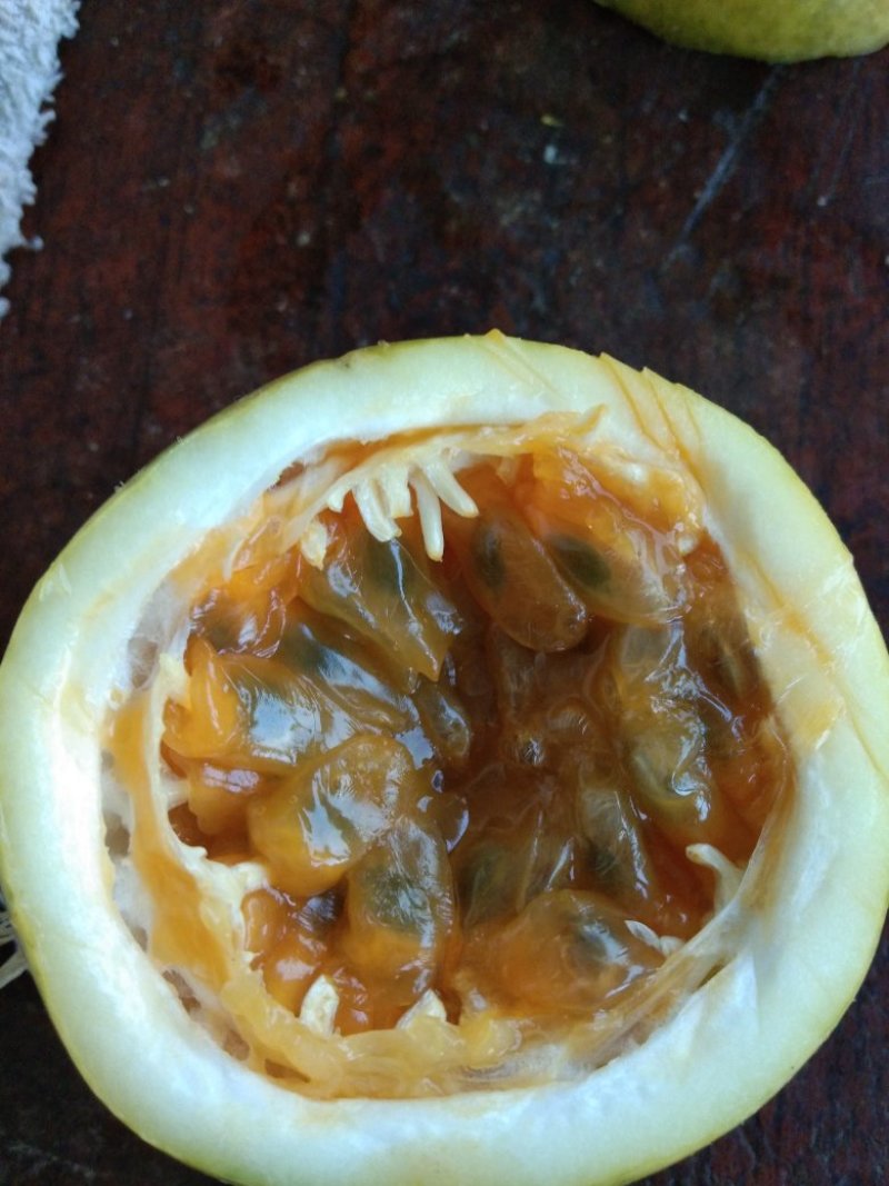 百香果（西番莲），纯生态工艺种植