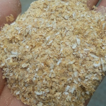 麦麸，麸子