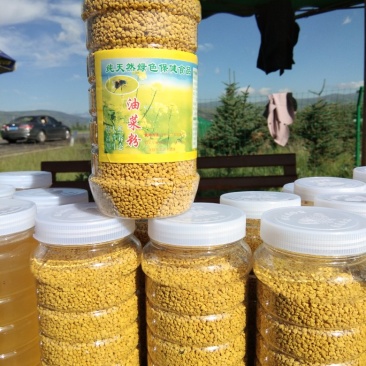 油菜花粉每瓶一斤每斤50元。批发零售，青海省海北州门源县
