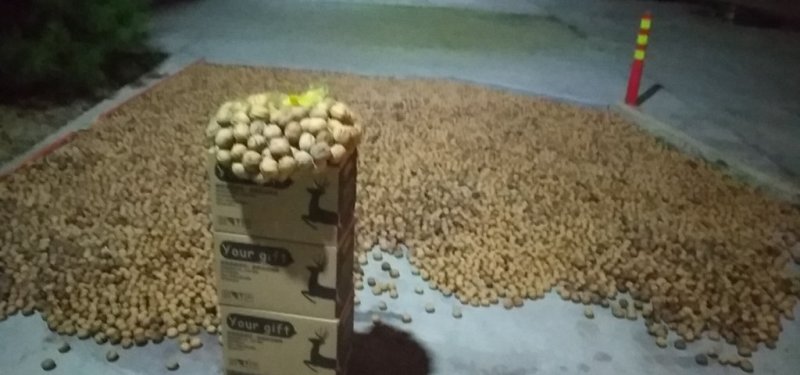 脱皮干核桃