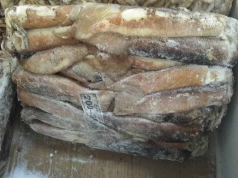 鱿鱼原料