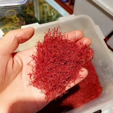 藏红花