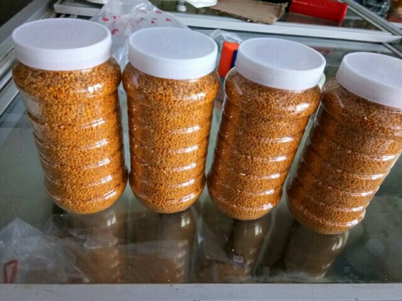 茶花粉滋补营养纯粉新鲜茶花粉大小包装包邮