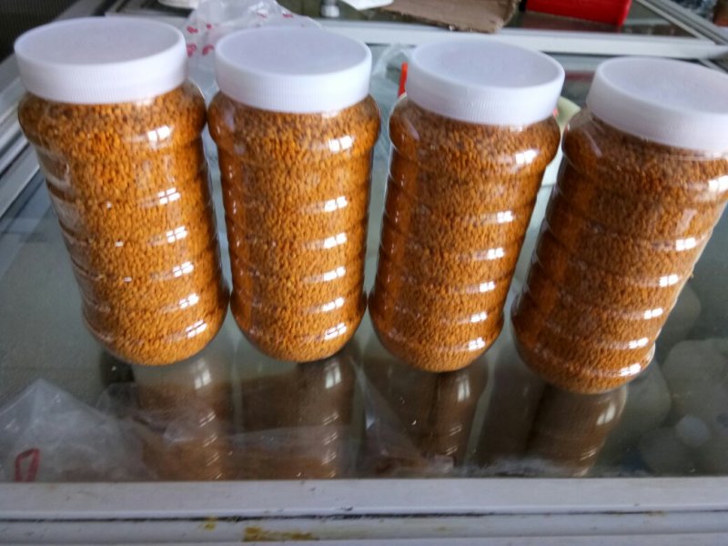 茶花粉滋补营养纯粉新鲜茶花粉大小包装包邮