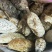 云南野生土蜂蜜
