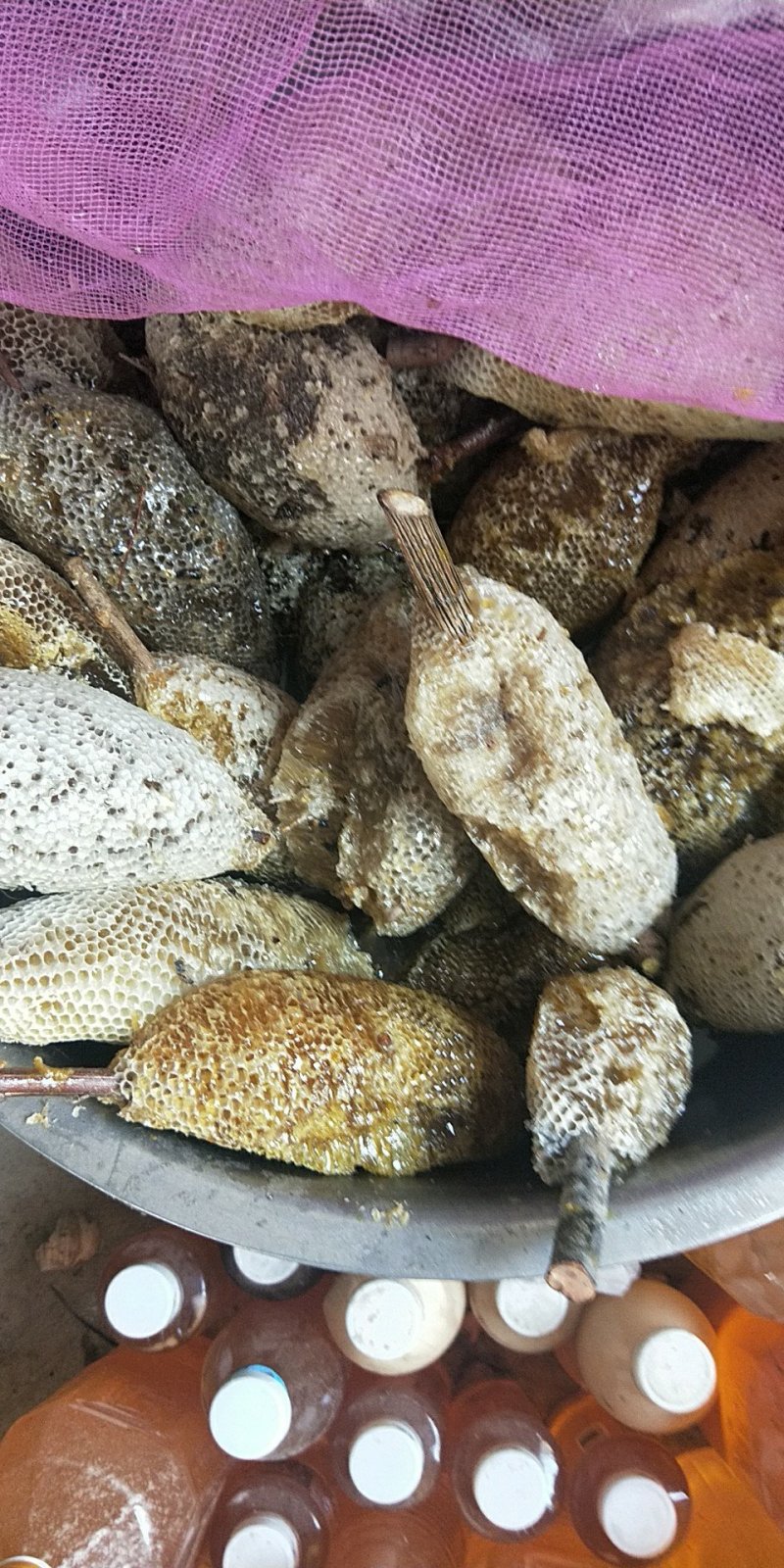 云南野生土蜂蜜