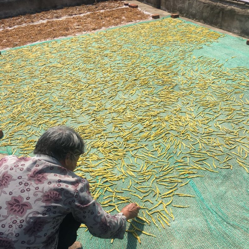 特级熟条黄花菜老式做法自己吃的不二之选10斤包邮