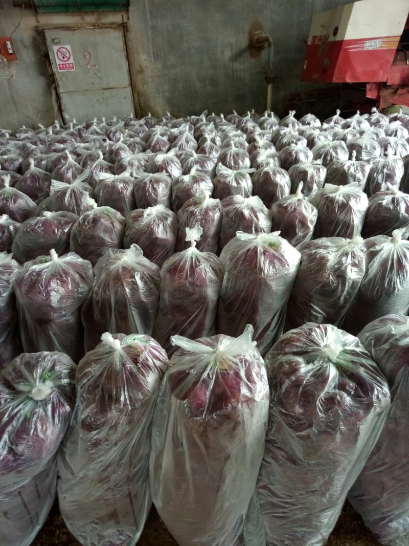紫，红，黄洋葱常年大量供应，代发全国各地，价格优惠