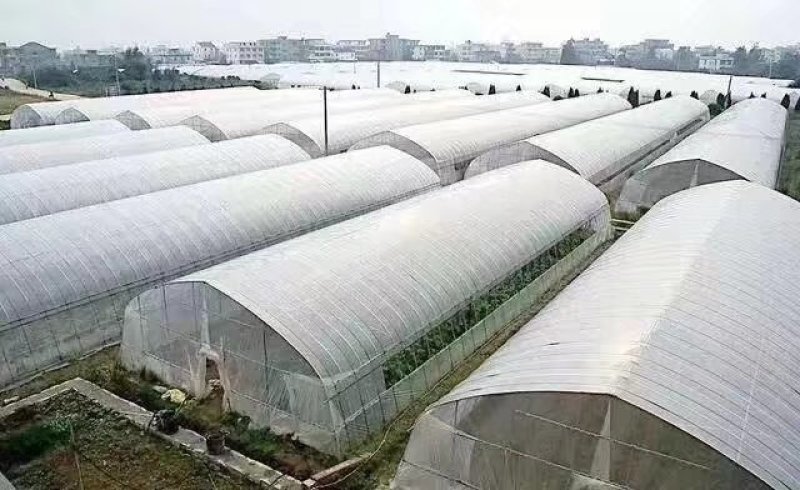蔬菜大棚镀锌钢管跨度2-12米跨度，抗风抗雪