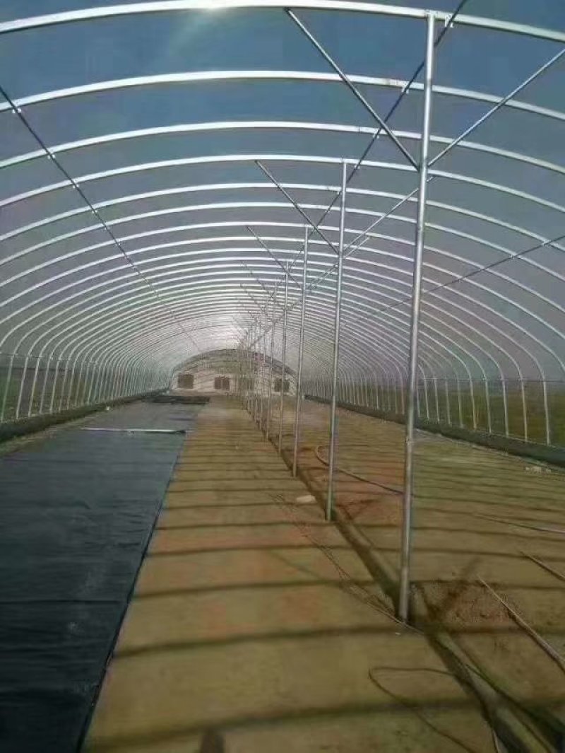 蔬菜大棚镀锌钢管跨度2-12米跨度，抗风抗雪