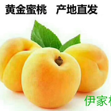 黄桃