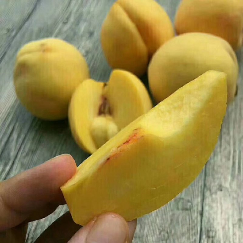 黄桃