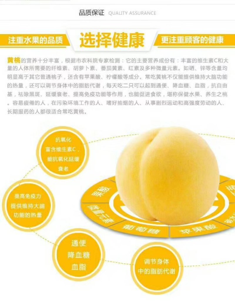 黄桃