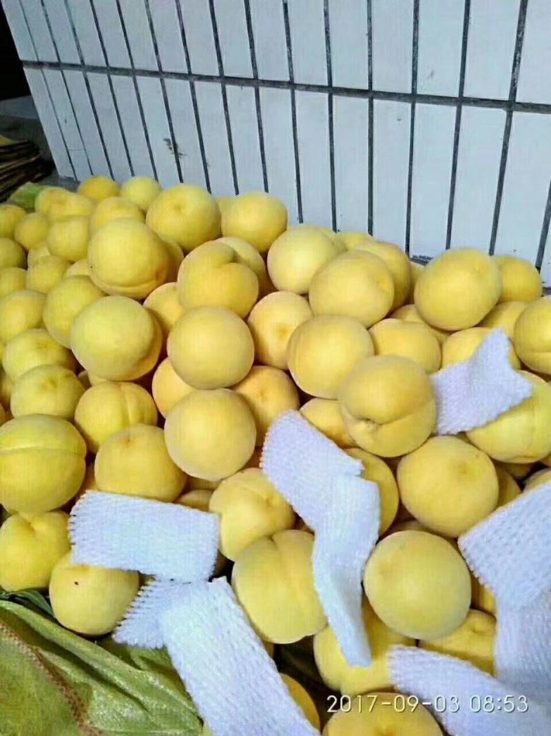 黄桃