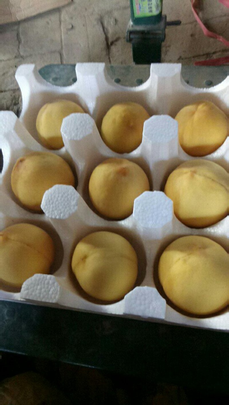 黄金黄桃