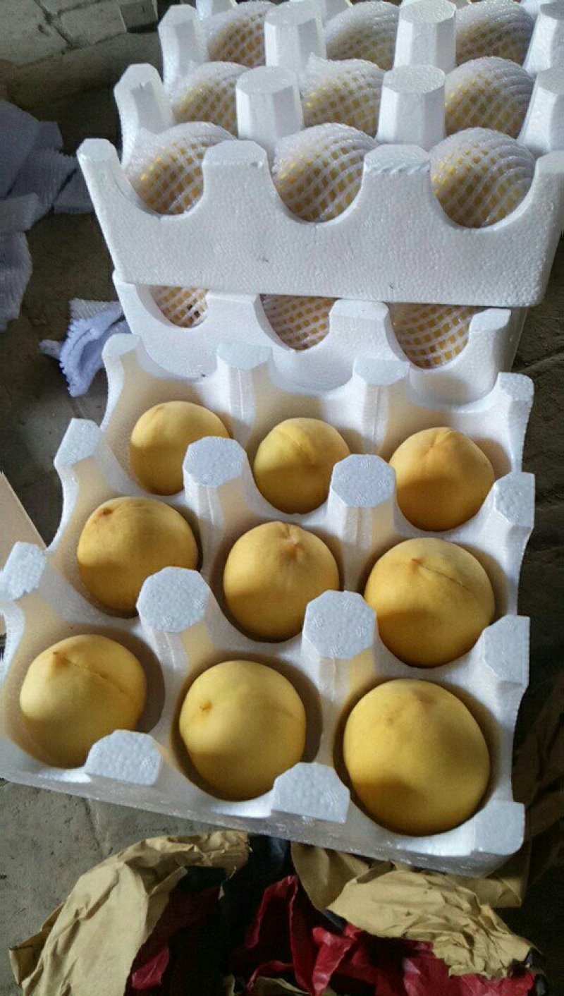 晚黄金桃上市拉