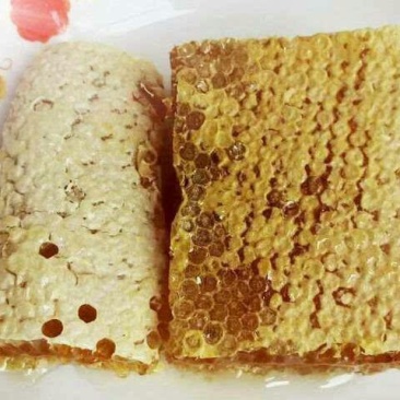 土蜂蜜中蜂自然割巢蜜