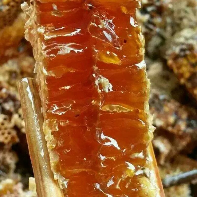 土蜂蜜中蜂自然割巢蜜