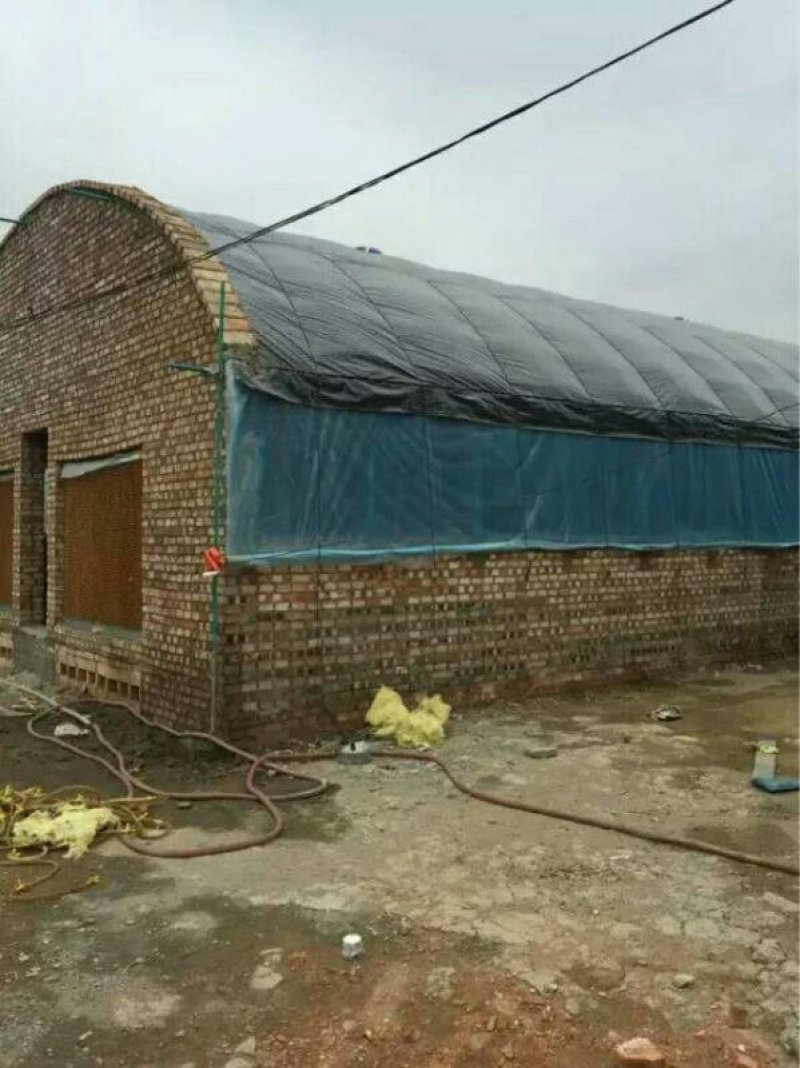 养猪大棚