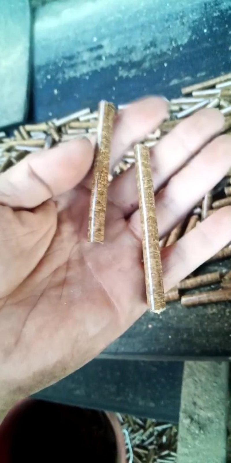 生物质颗粒燃料。。。。。