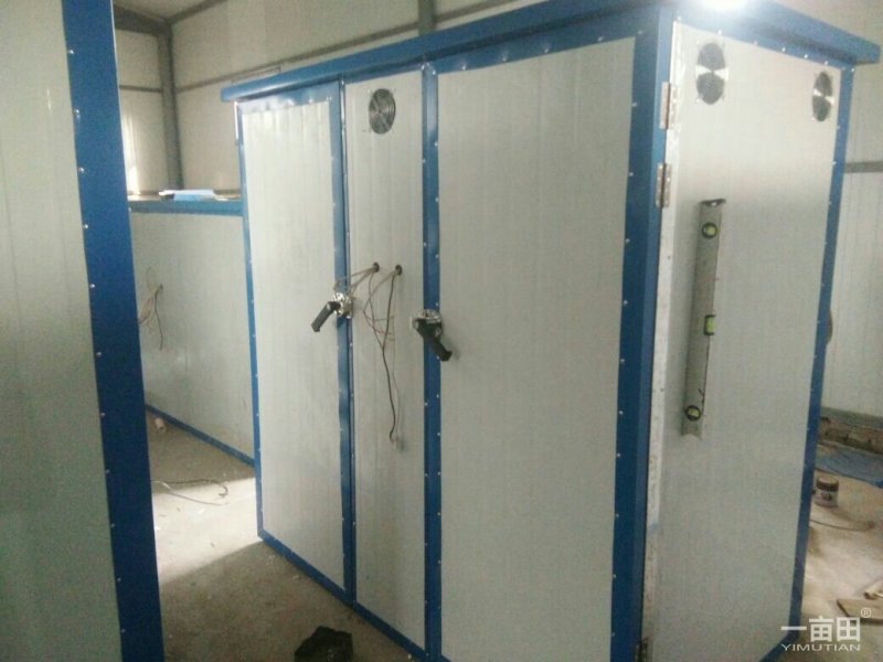 封丘正宗树型四季花烘干机筛选机研发中心河南金银花苗