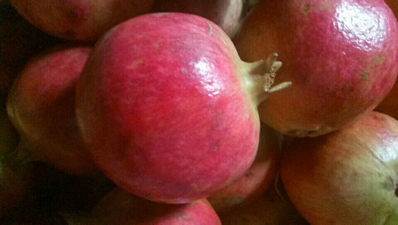 【石榴】永胜突尼斯软籽石榴上市中期（果园直发）