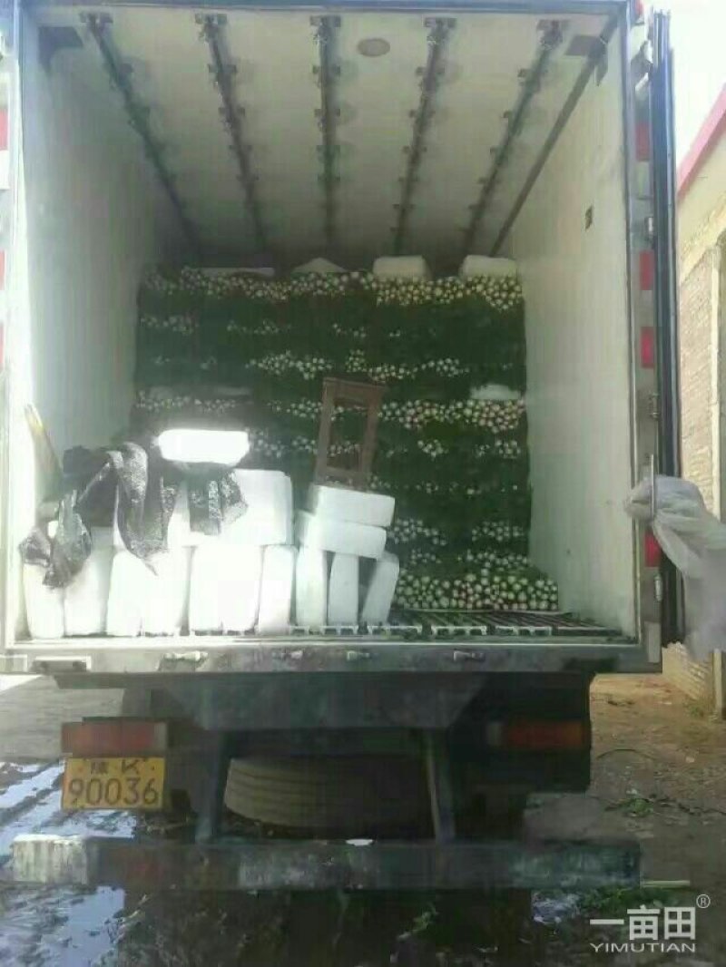 西芹