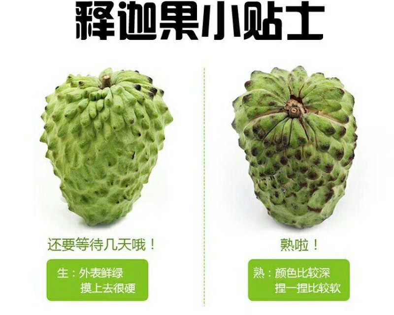 释迦果